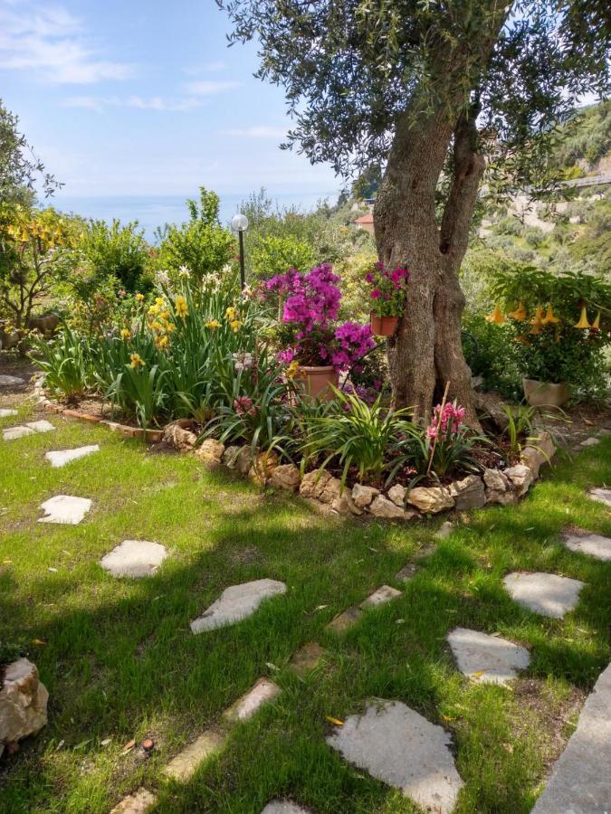 Villino Brunetto Azienda Agrituristica คาโมยลี ภายนอก รูปภาพ