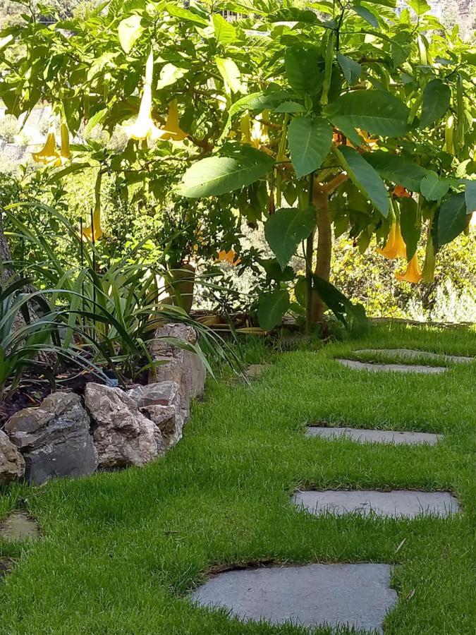 Villino Brunetto Azienda Agrituristica คาโมยลี ภายนอก รูปภาพ