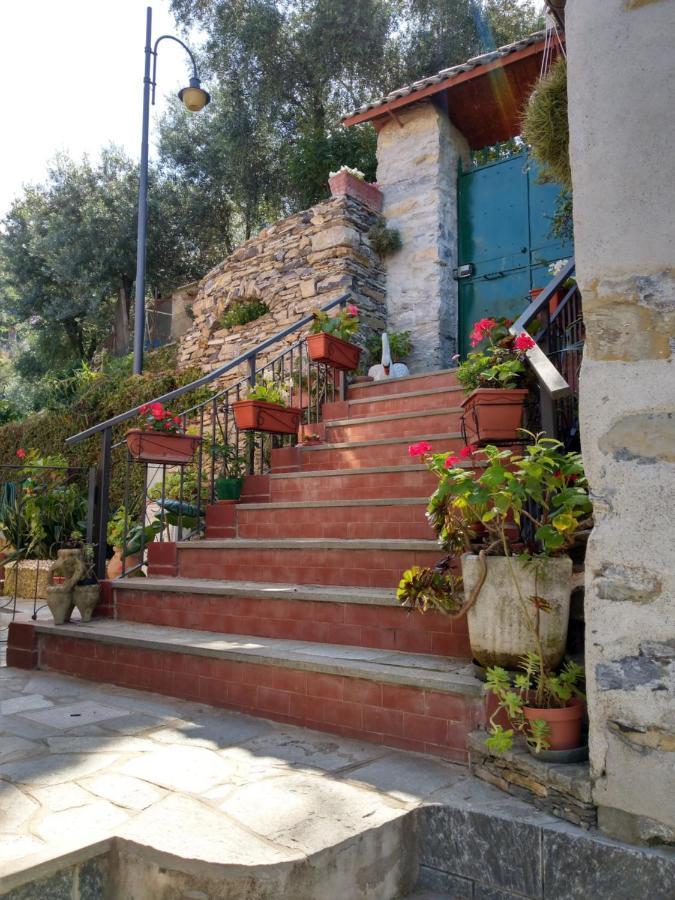 Villino Brunetto Azienda Agrituristica คาโมยลี ภายนอก รูปภาพ