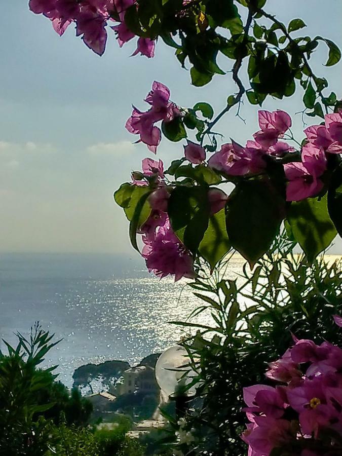 Villino Brunetto Azienda Agrituristica คาโมยลี ภายนอก รูปภาพ